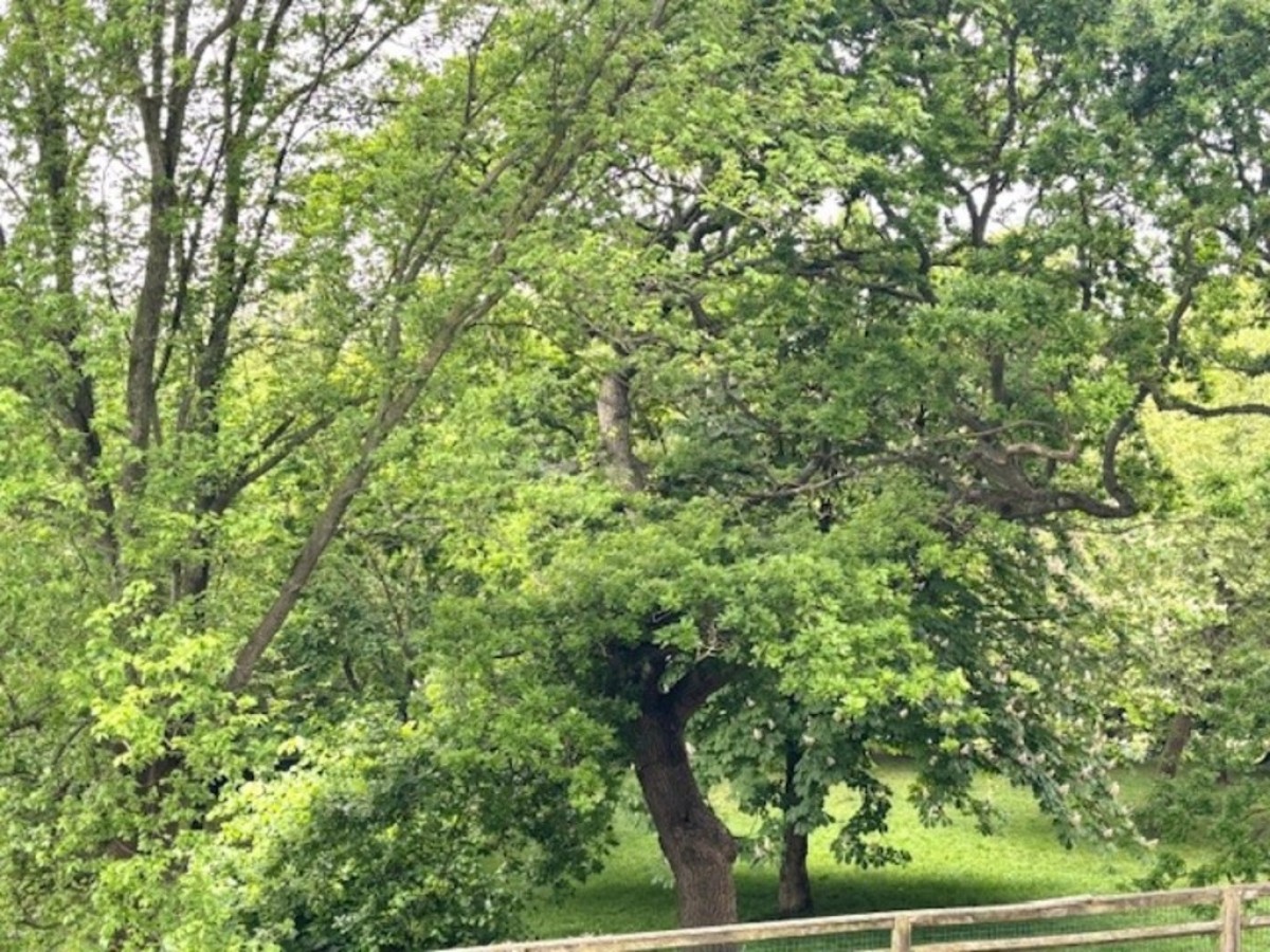 Furze Hill, Hove