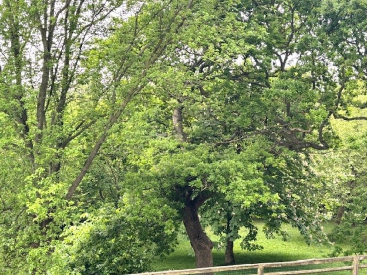 Furze Hill, Hove