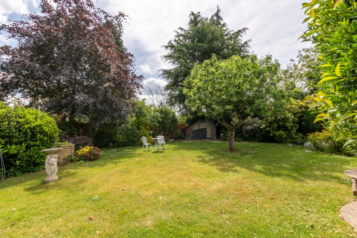 Woodbury Park, Holt Heath