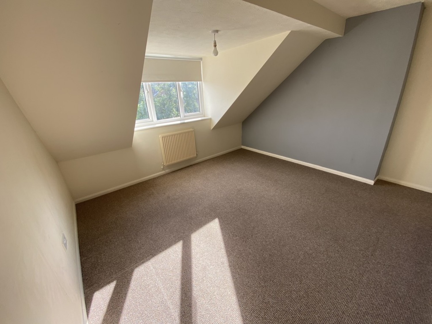 Pickering Drive, Ellistown