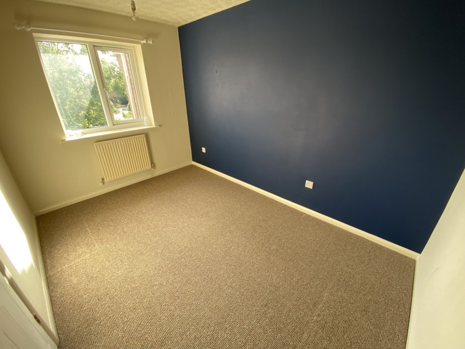 Pickering Drive, Ellistown