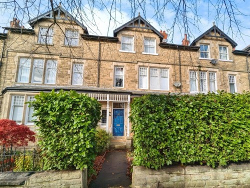 Dragon Parade, Harrogate