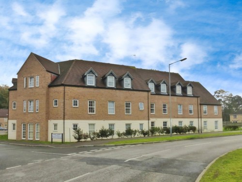 Hazel Covert, Thetford