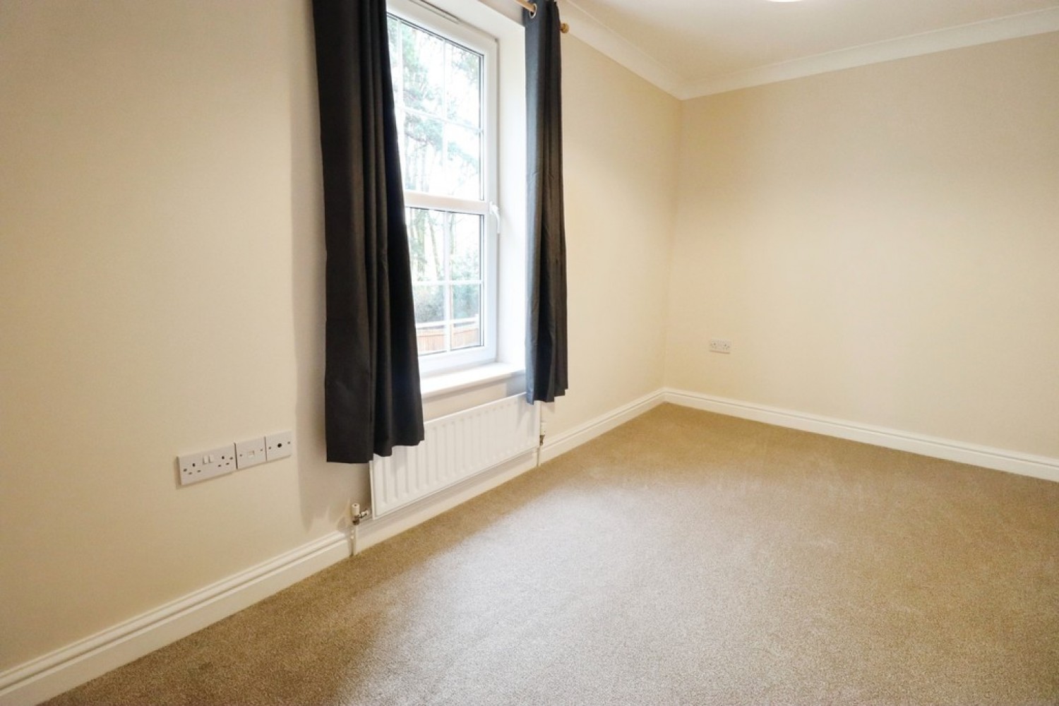 Birch Covert, Thetford