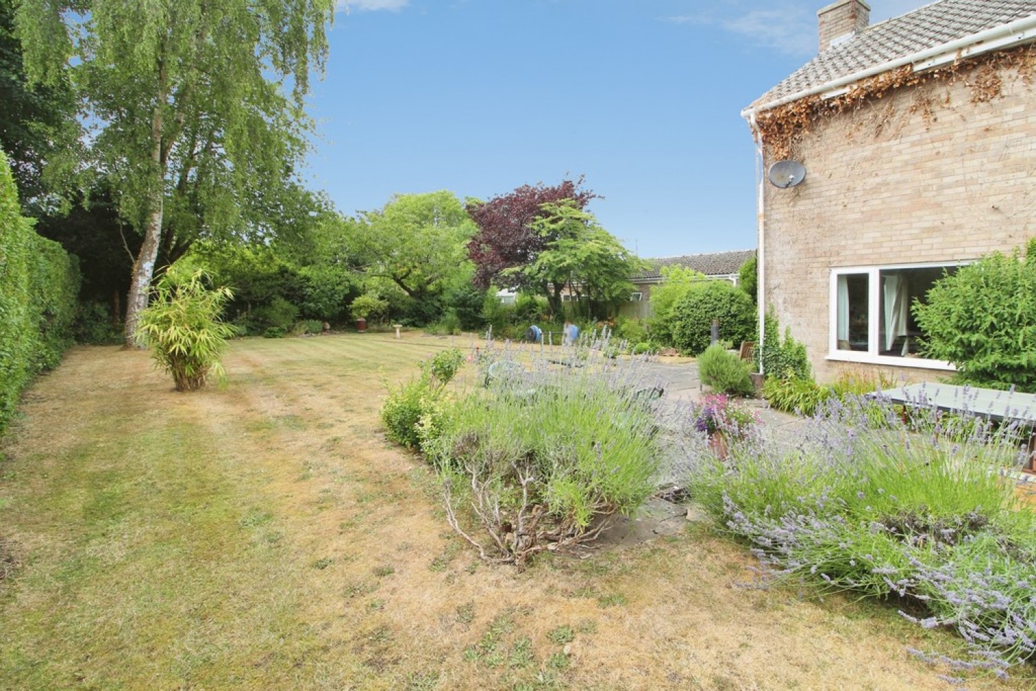 4 bedroom House for Letting Bury St Edmunds