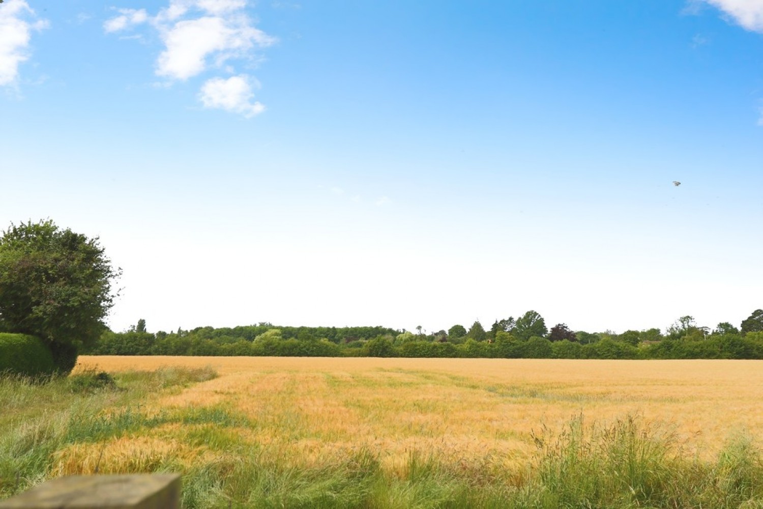 Rougham, Bury St Edmunds, Suffolk