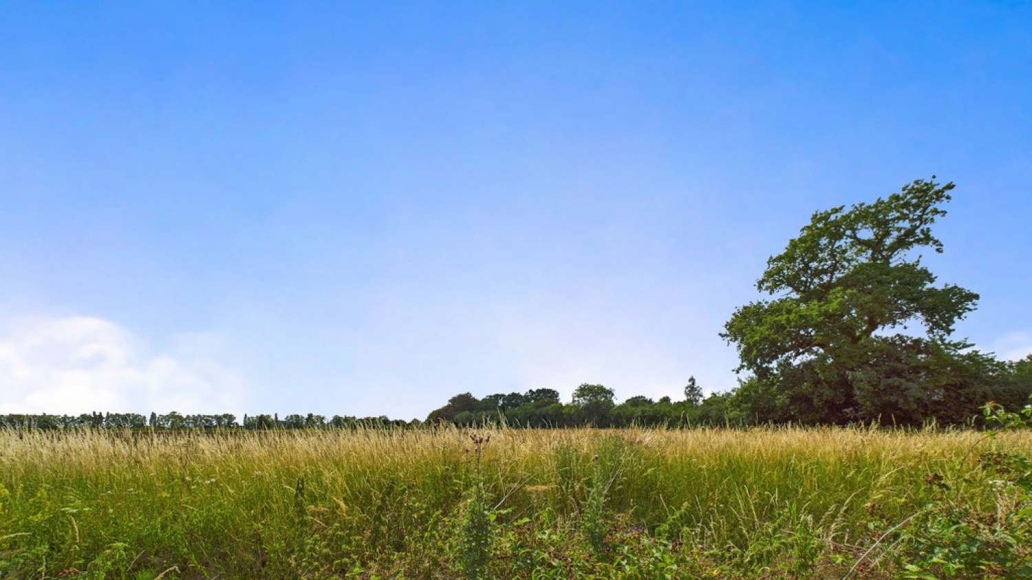 Barrow , Suffolk
