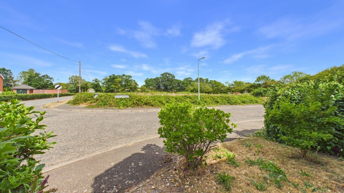 Broad Meadow, Walsham Le Willows, Suffolk