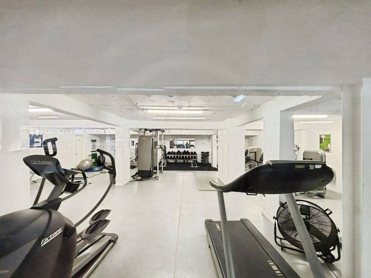 Saxton, The Avenue, Leeds