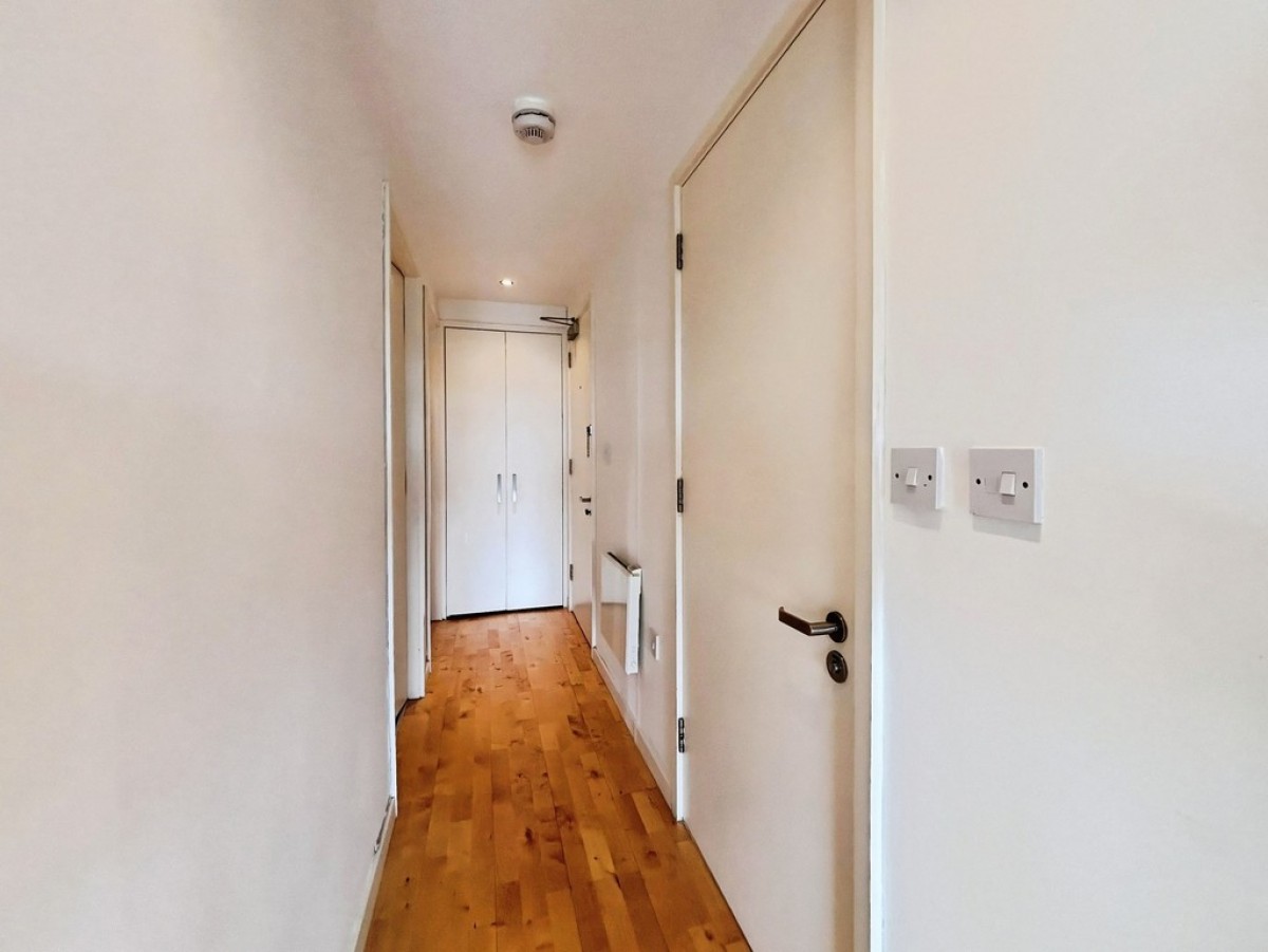 Saxton, The Avenue