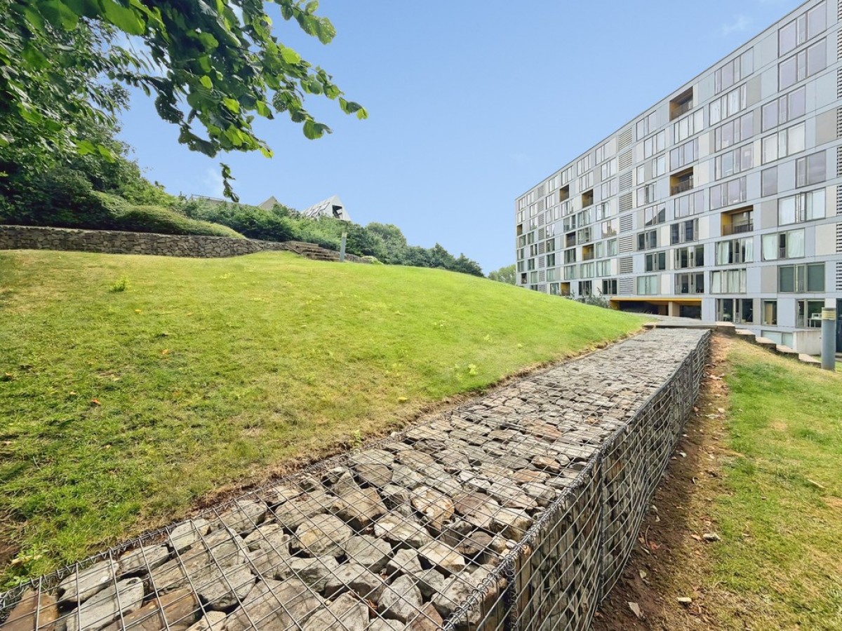 Saxton, The Avenue