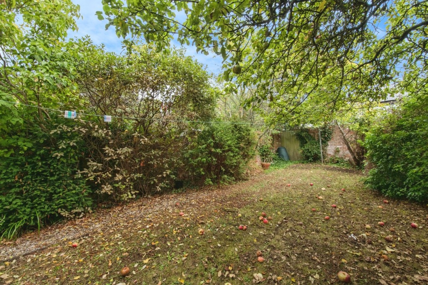 Exeter, Devon