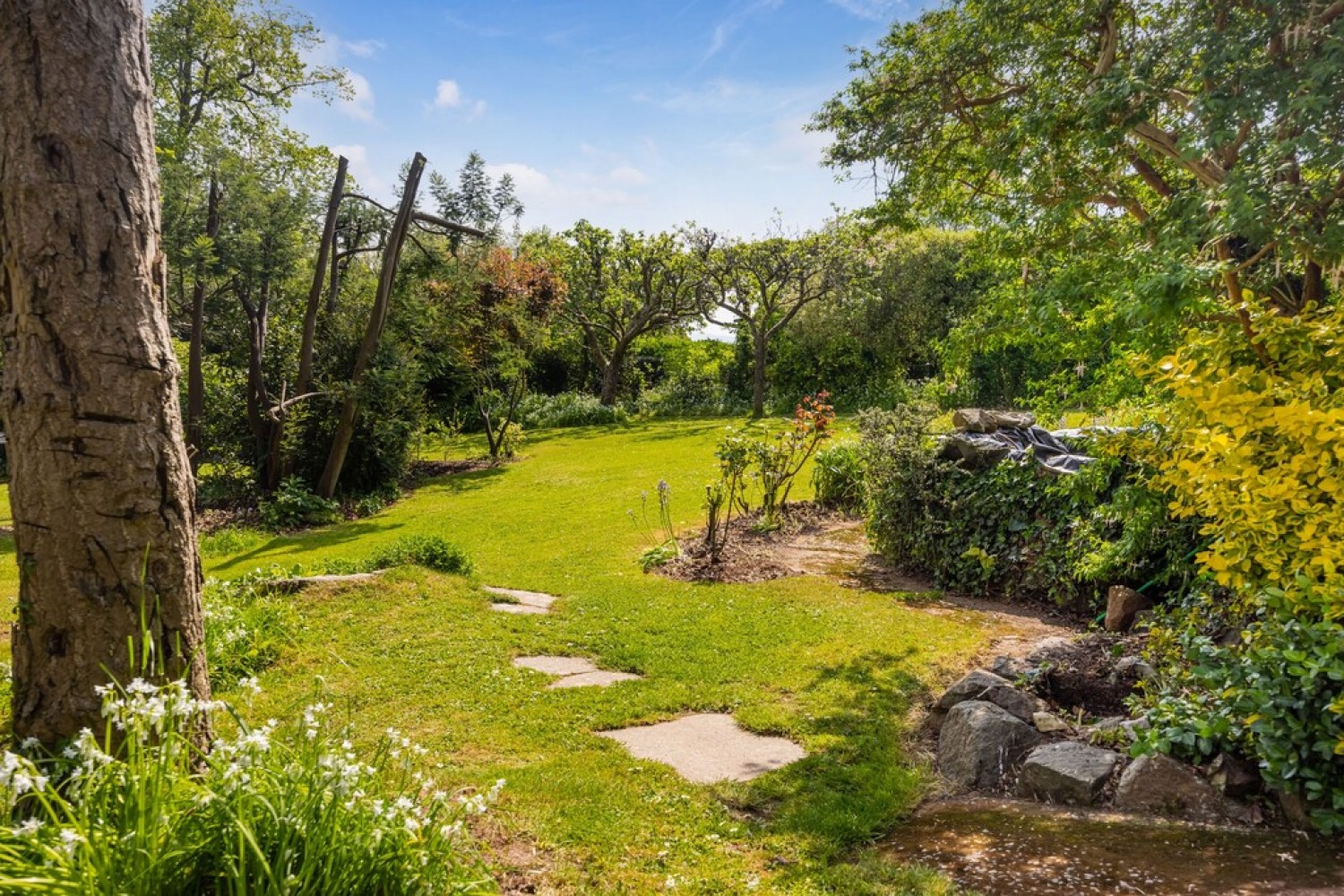 5 bedroom Bungalow for Sale Beech Avenue