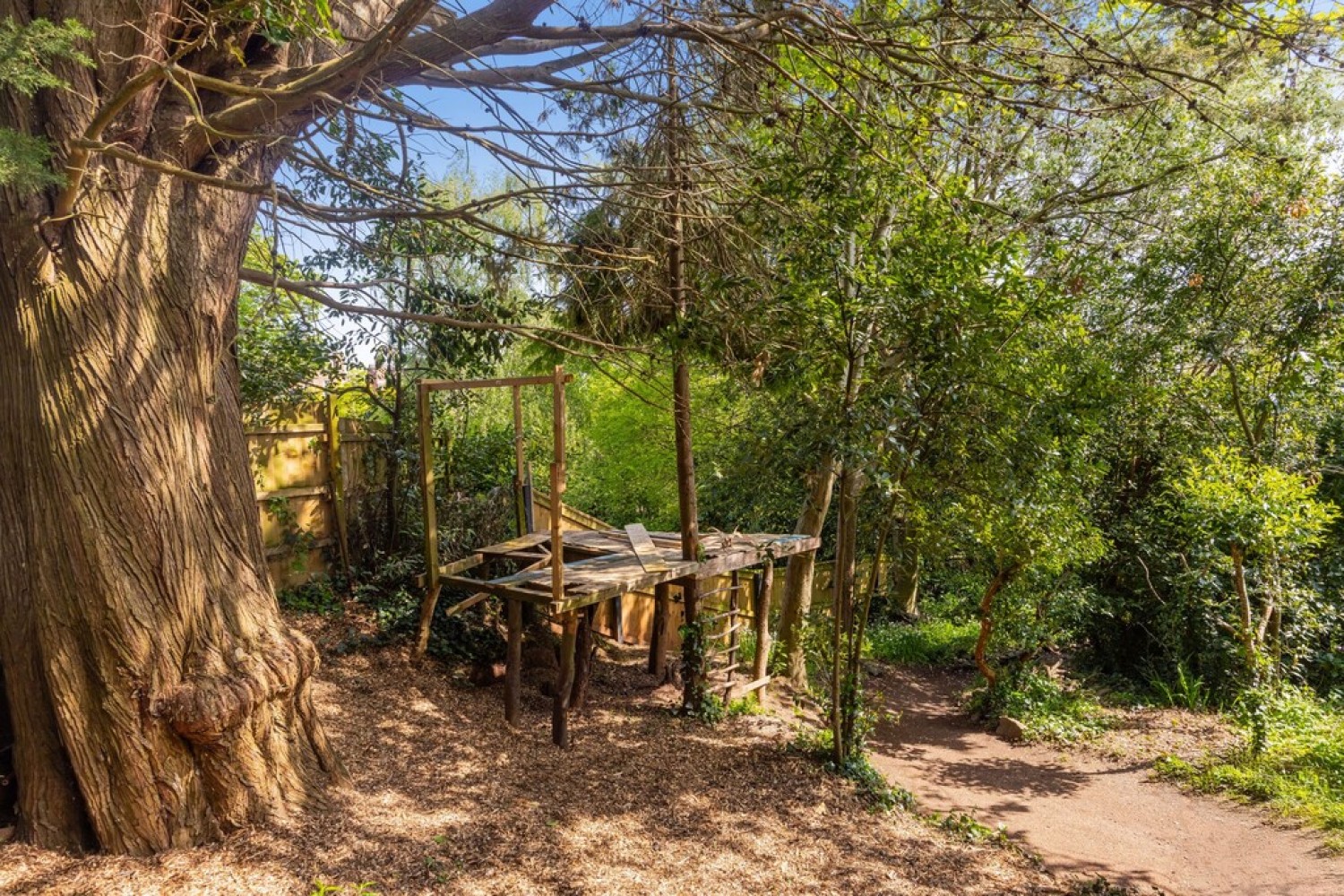 5 bedroom Bungalow for Sale Beech Avenue