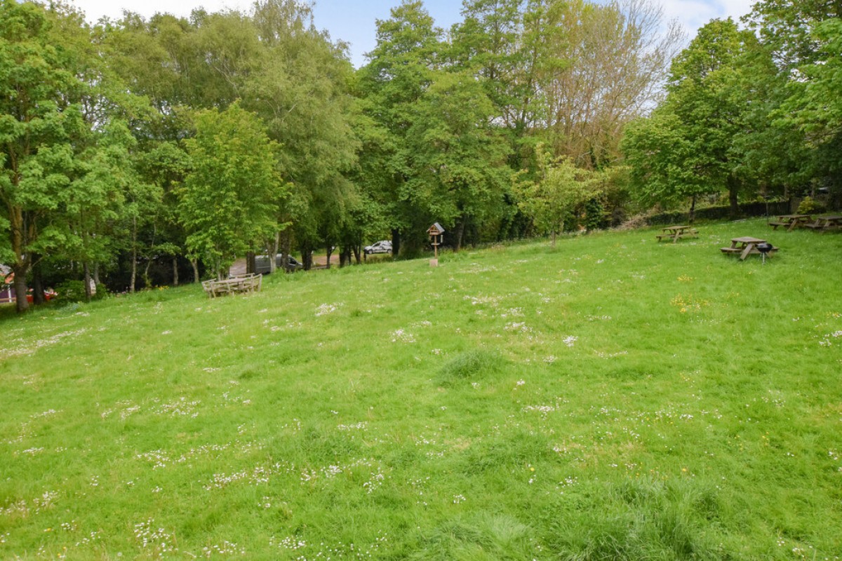 Woodwater Lane