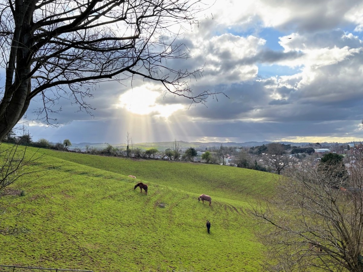 Woodwater Lane, Broadfields, Exeter