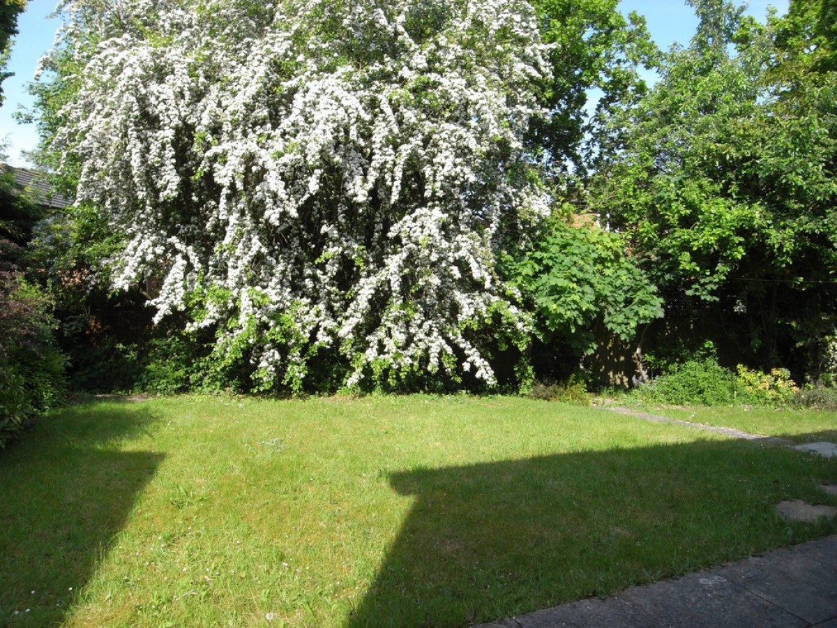 Danebury Gardens, Chandler's Ford