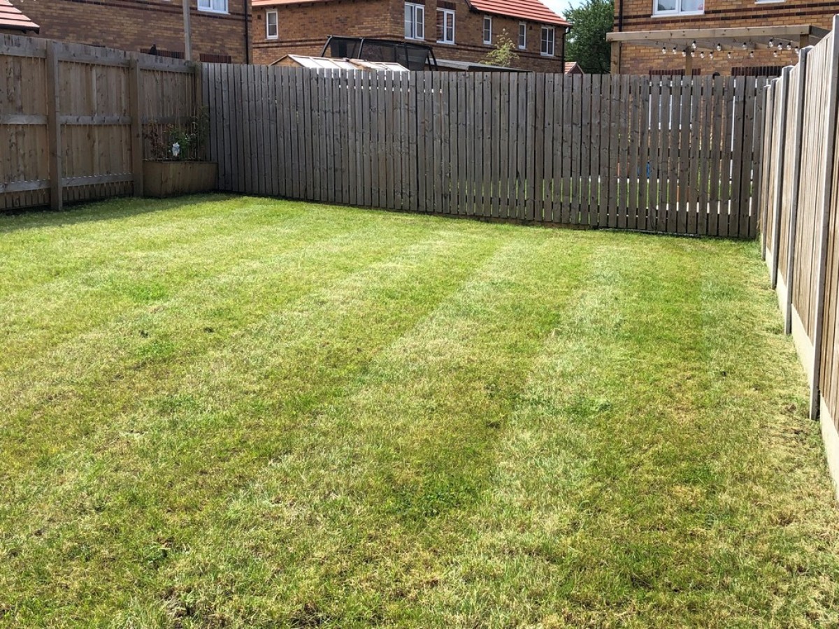 Wagtail Drive, Poolsbrook
