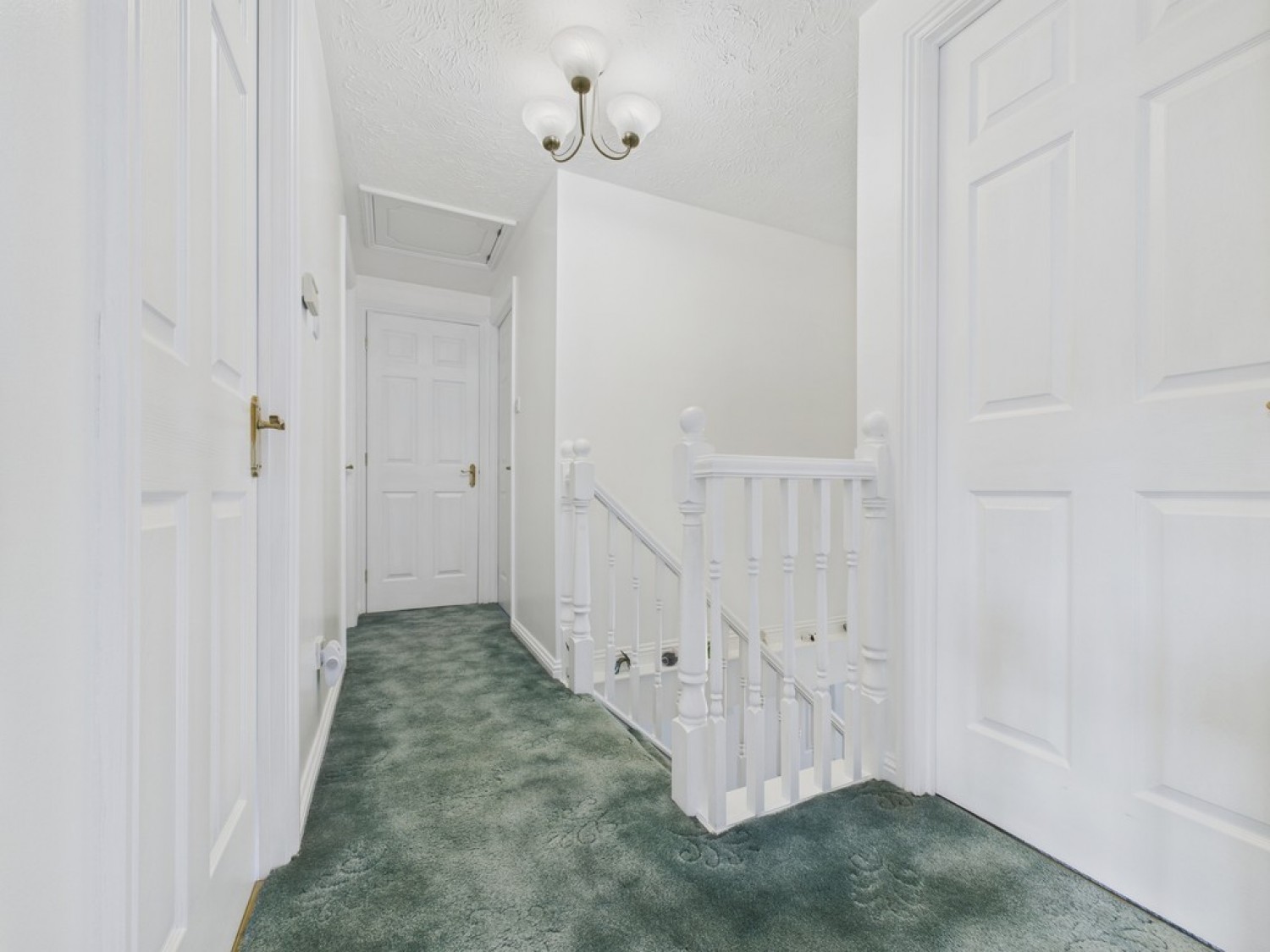 Paddock Drive, Woodlaithes
