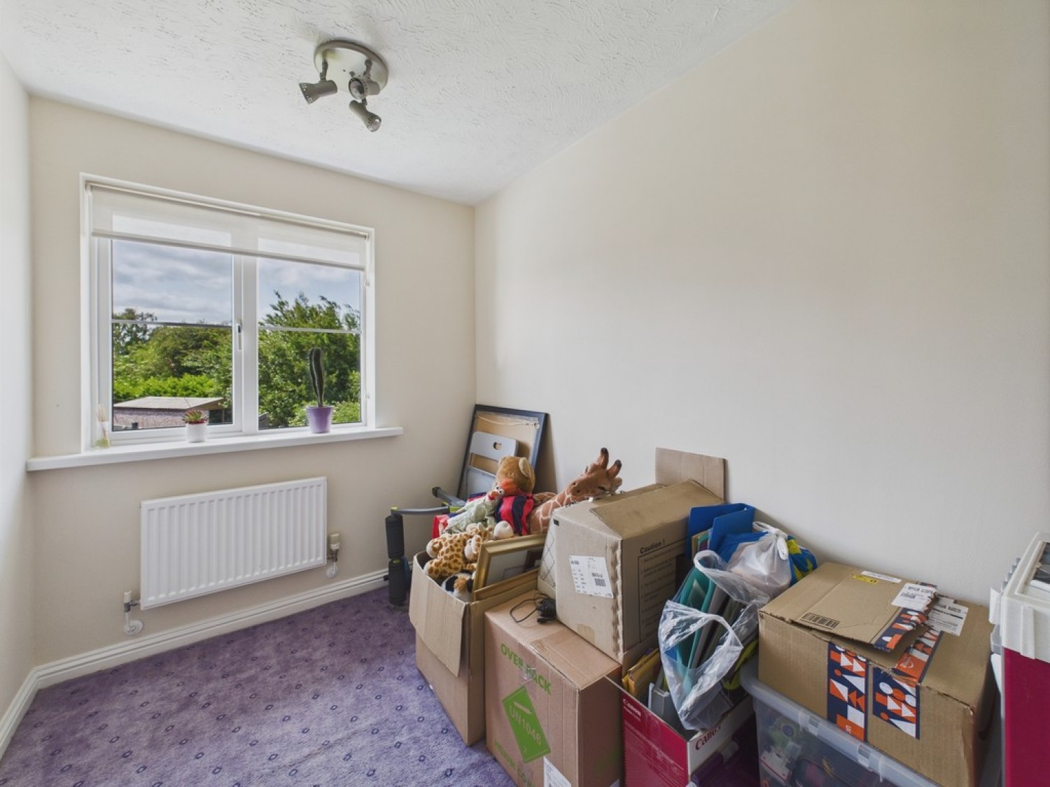Paddock Drive, Woodlaithes