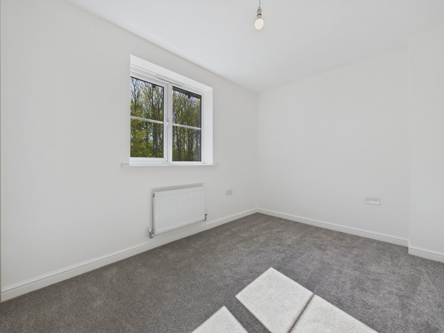 Curlew Street, Poolsbrook