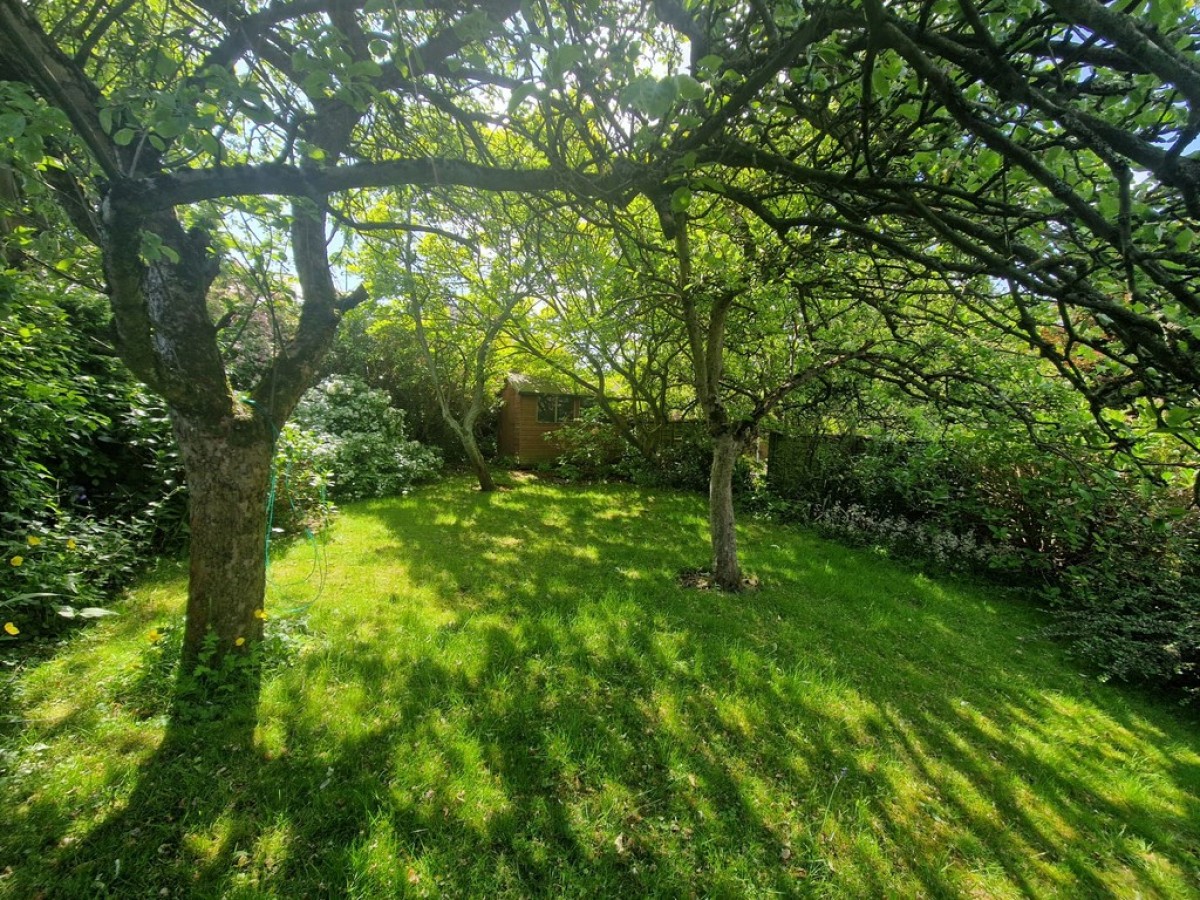 Great Bank Road, Herringthorpe