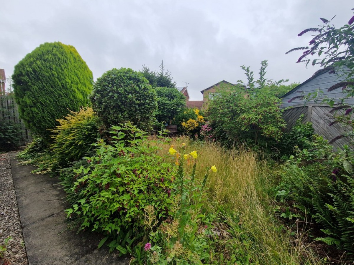 Bramley, Rotherham