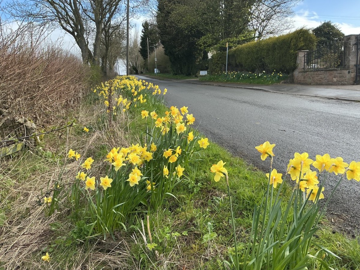 Hardwick Lane, Aston