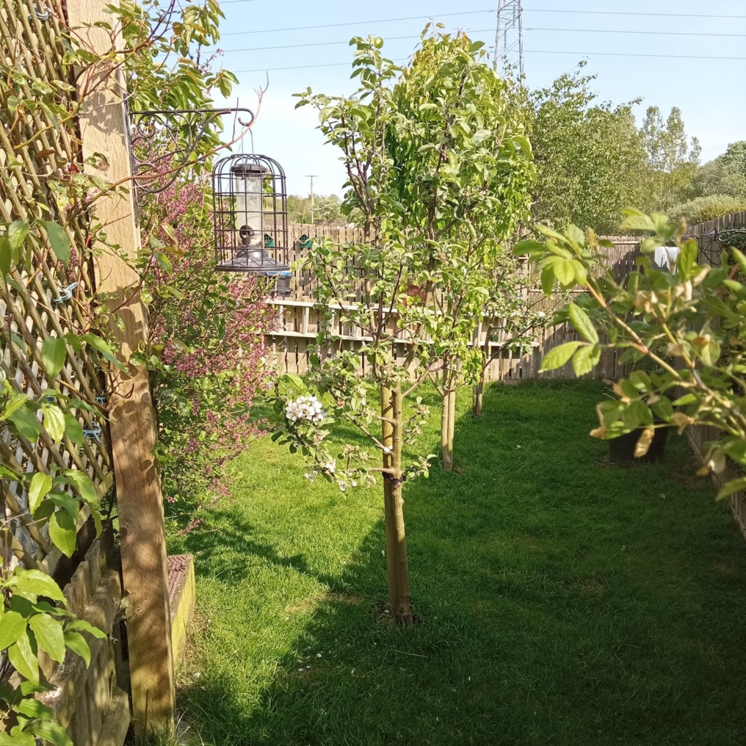 3 bedroom Bungalow in Pawprints, Robert Burns Avenue, Drongan, Ayr, KA6 7DZ