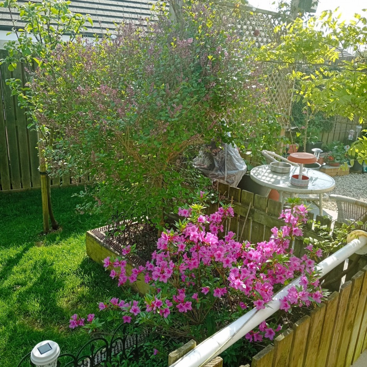 Pawprints, Robert Burns Avenue, Drongan, Ayr, KA6 7DZ