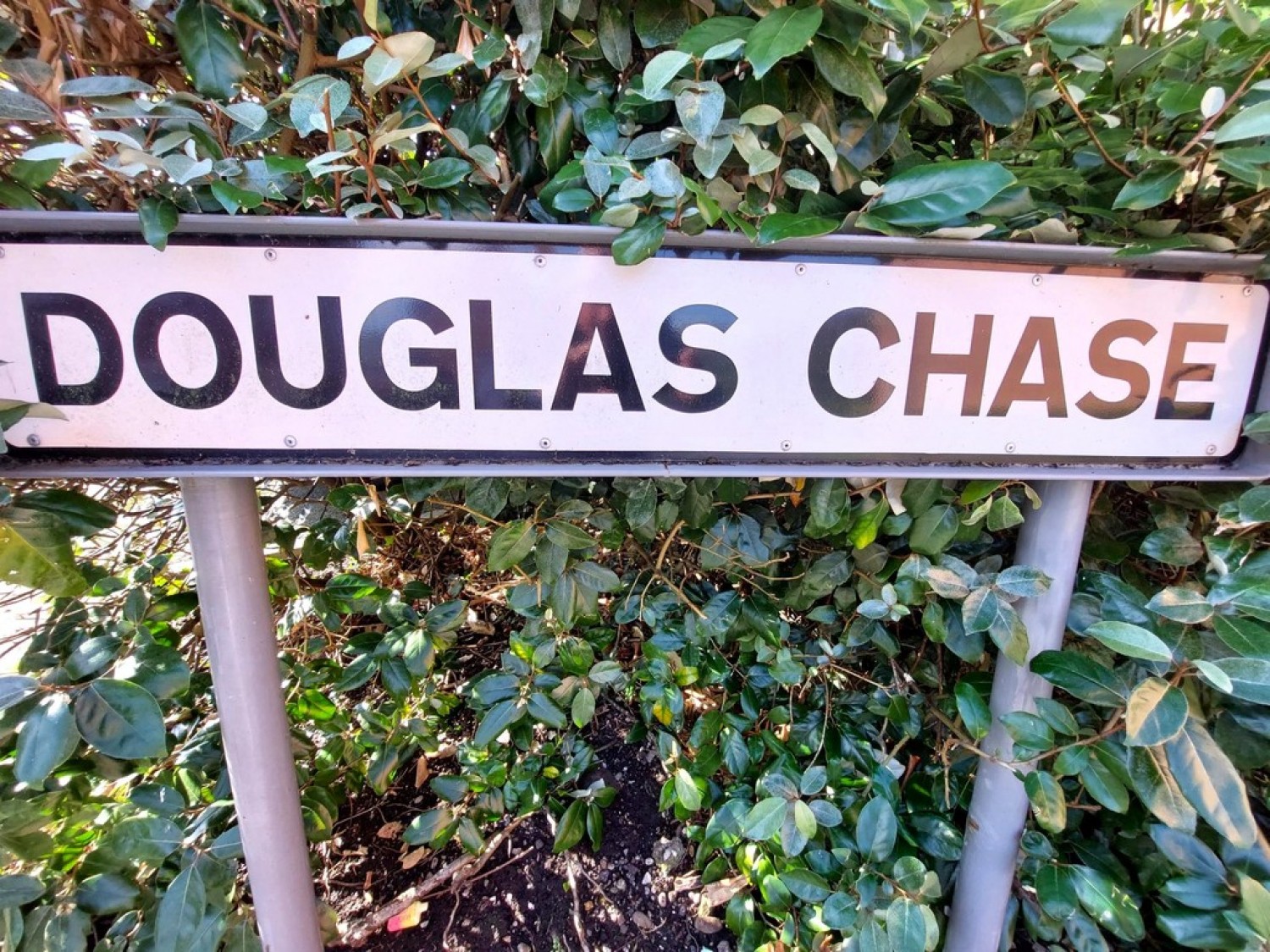 Douglas Chase, Radcliffe