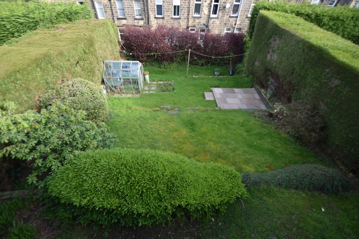 Sedge Grove, Haworth