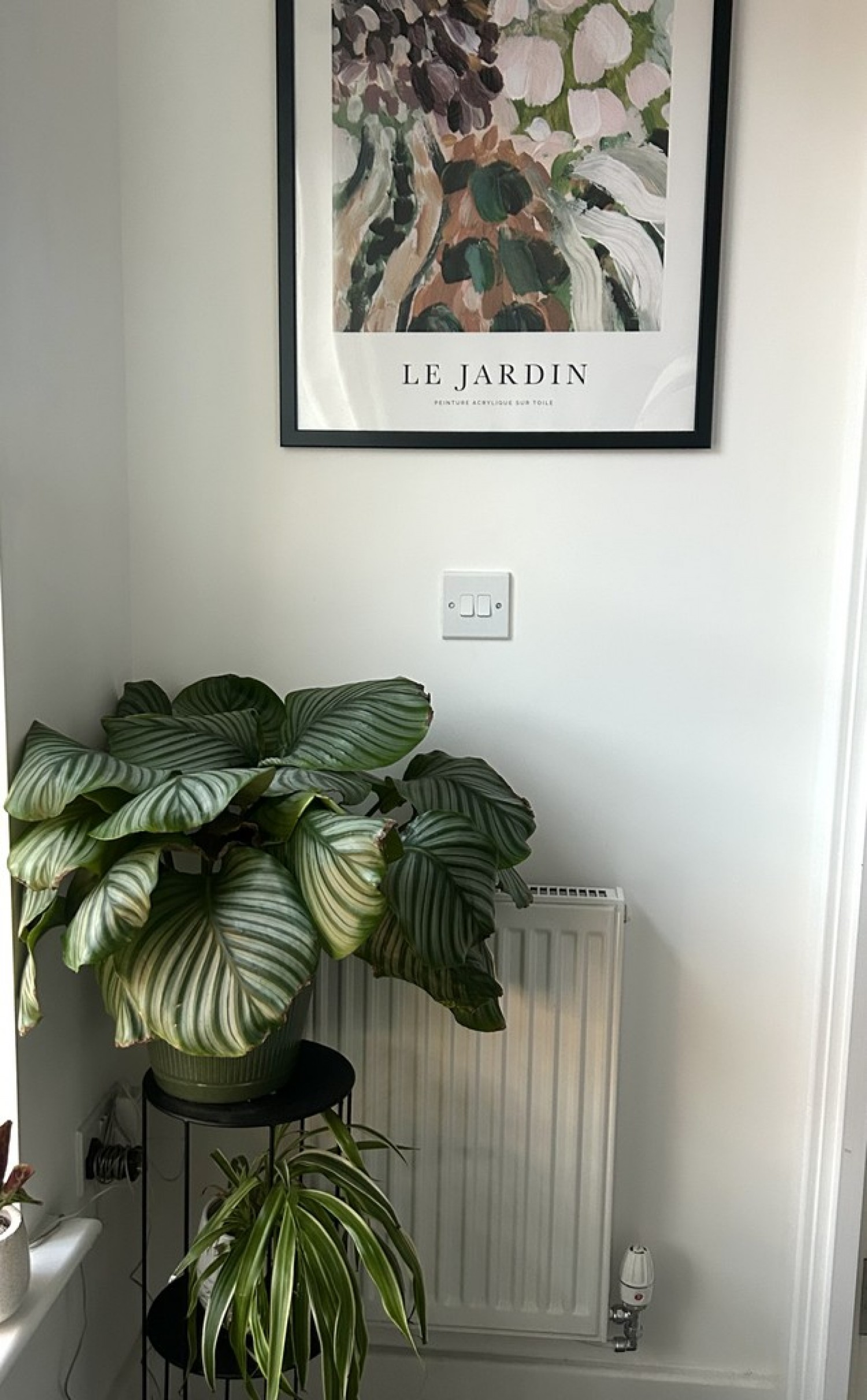 Copper Beech Court, Leeds