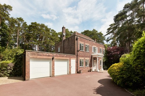 Dukes Covert, Bagshot, Surrey Heath