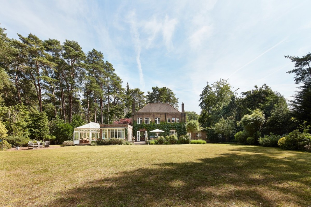 Dukes Covert, Bagshot, Surrey Heath