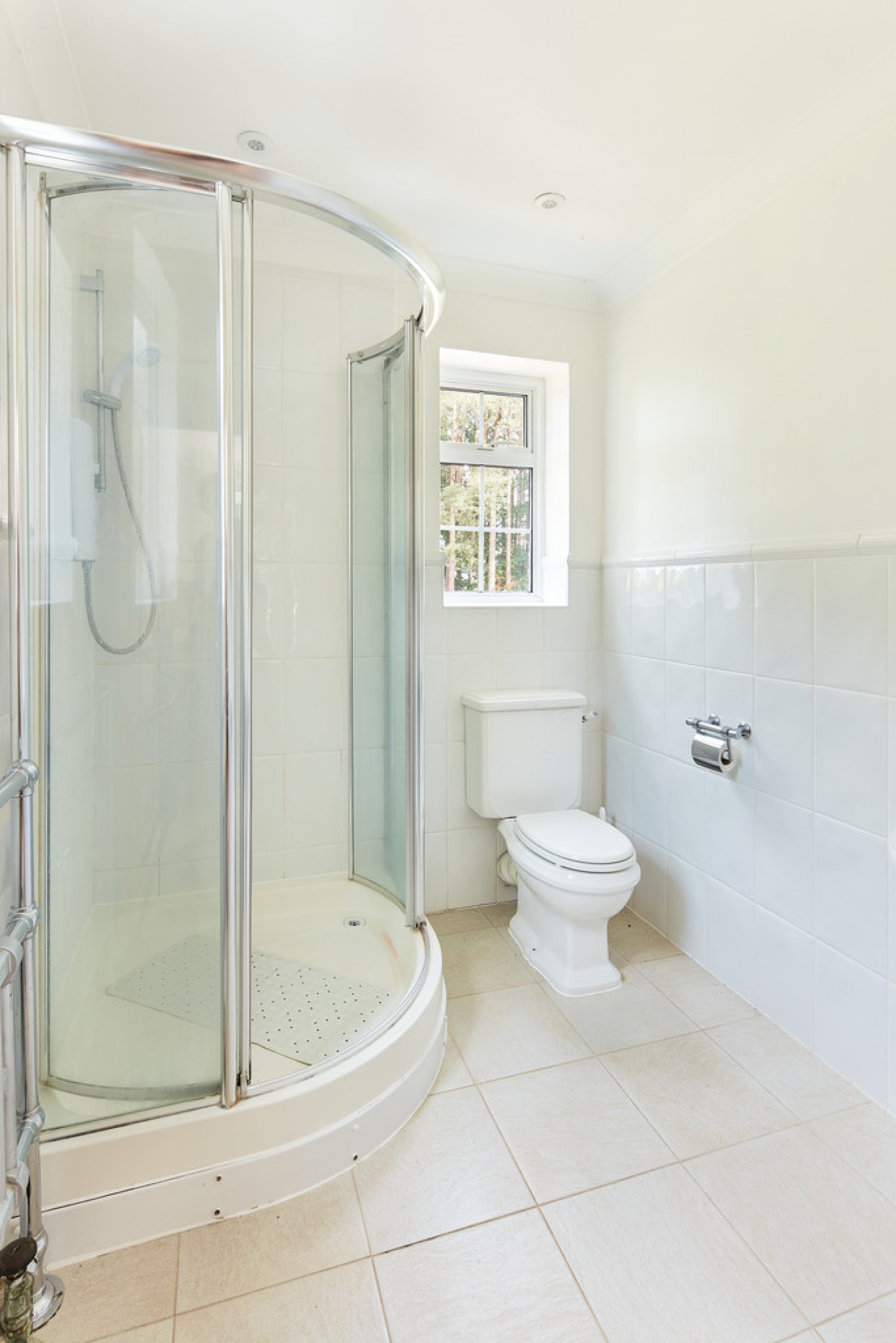 Dukes Covert, Bagshot, Surrey Heath
