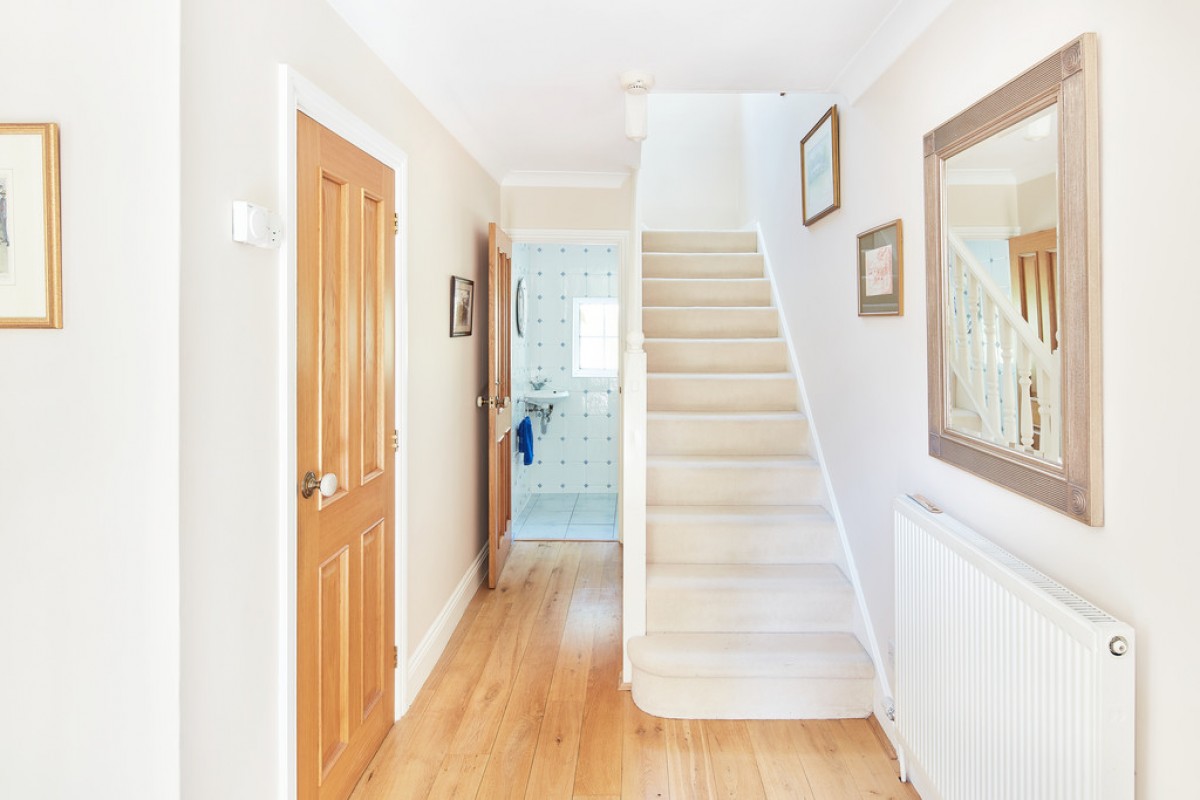 Dukes Covert, Bagshot, Surrey Heath