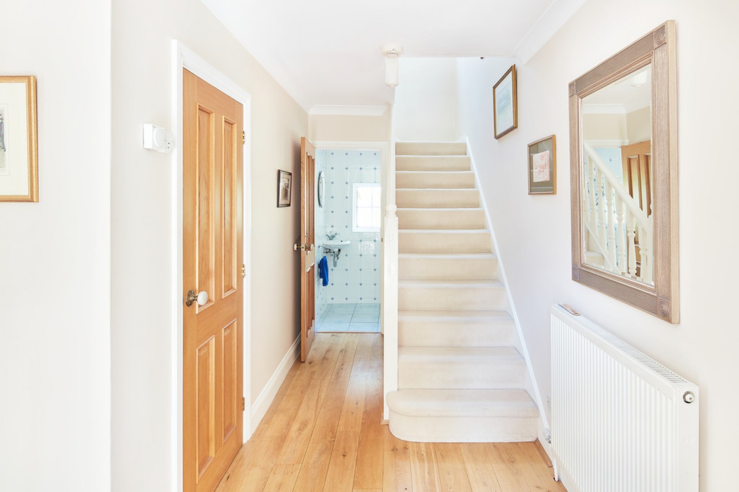 Dukes Covert, Bagshot, Surrey Heath