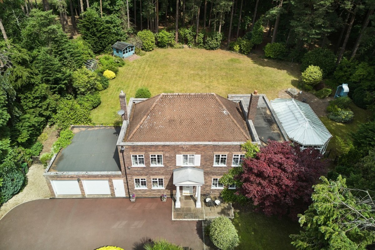 Dukes Covert, Bagshot, Surrey Heath
