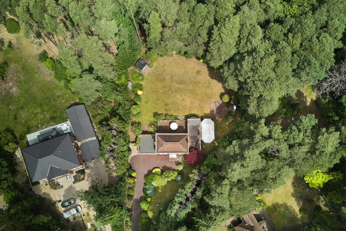 Dukes Covert, Bagshot, Surrey Heath