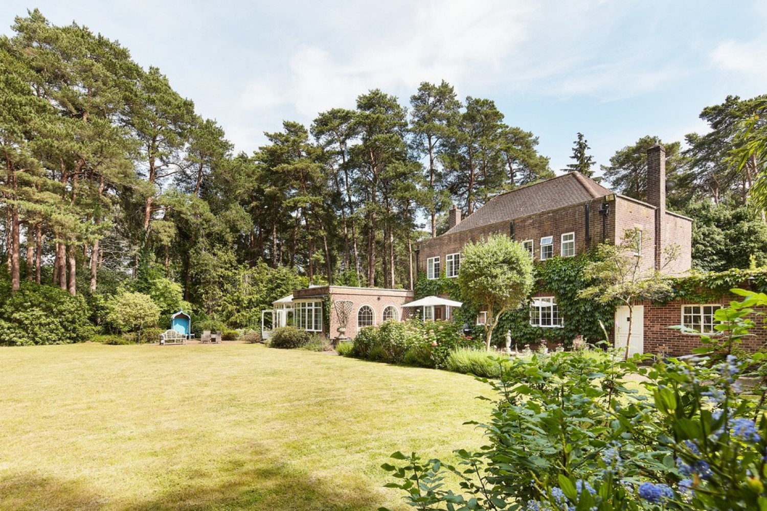 Dukes Covert, Bagshot, Surrey Heath