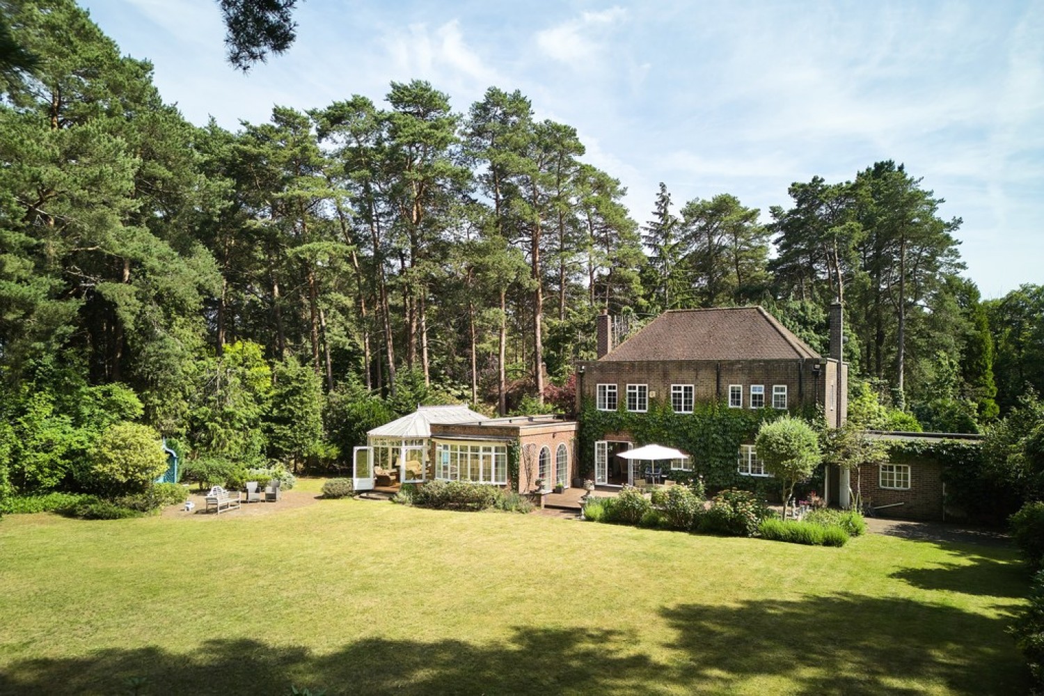 Dukes Covert, Bagshot, Surrey Heath