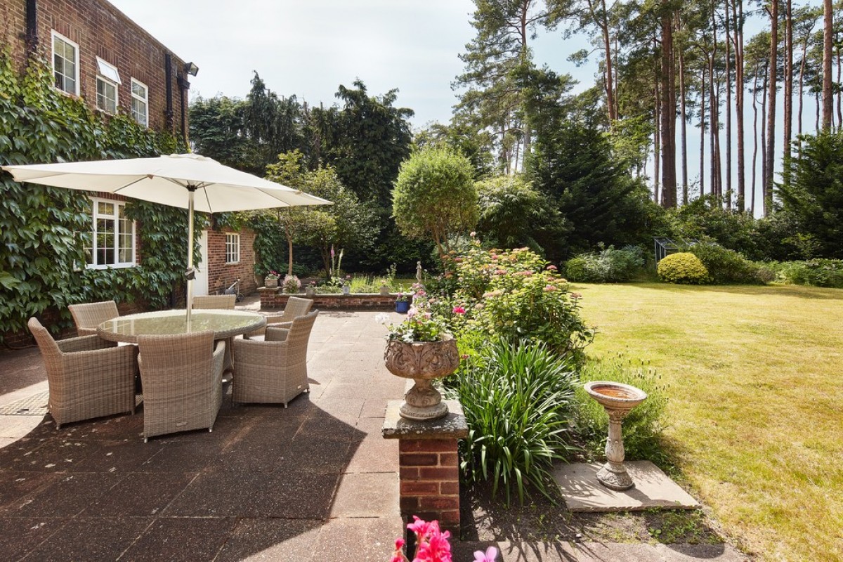 Dukes Covert, Bagshot, Surrey Heath