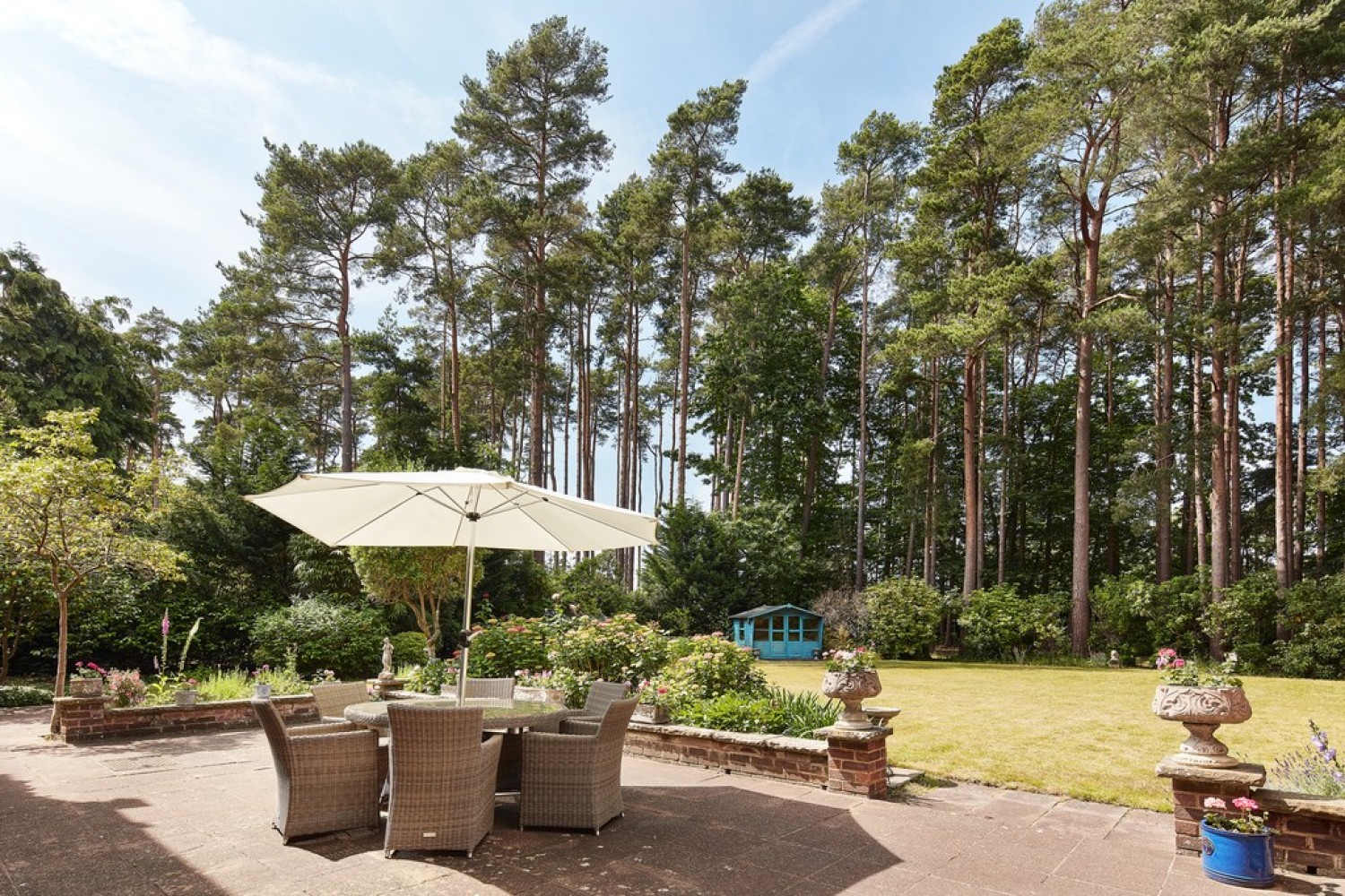 Dukes Covert, Bagshot, Surrey Heath