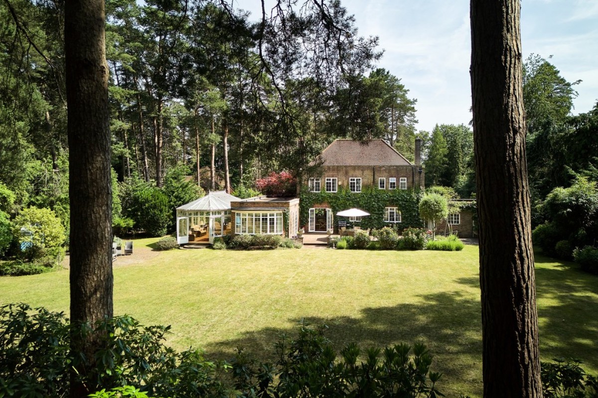 Dukes Covert, Bagshot, Surrey Heath