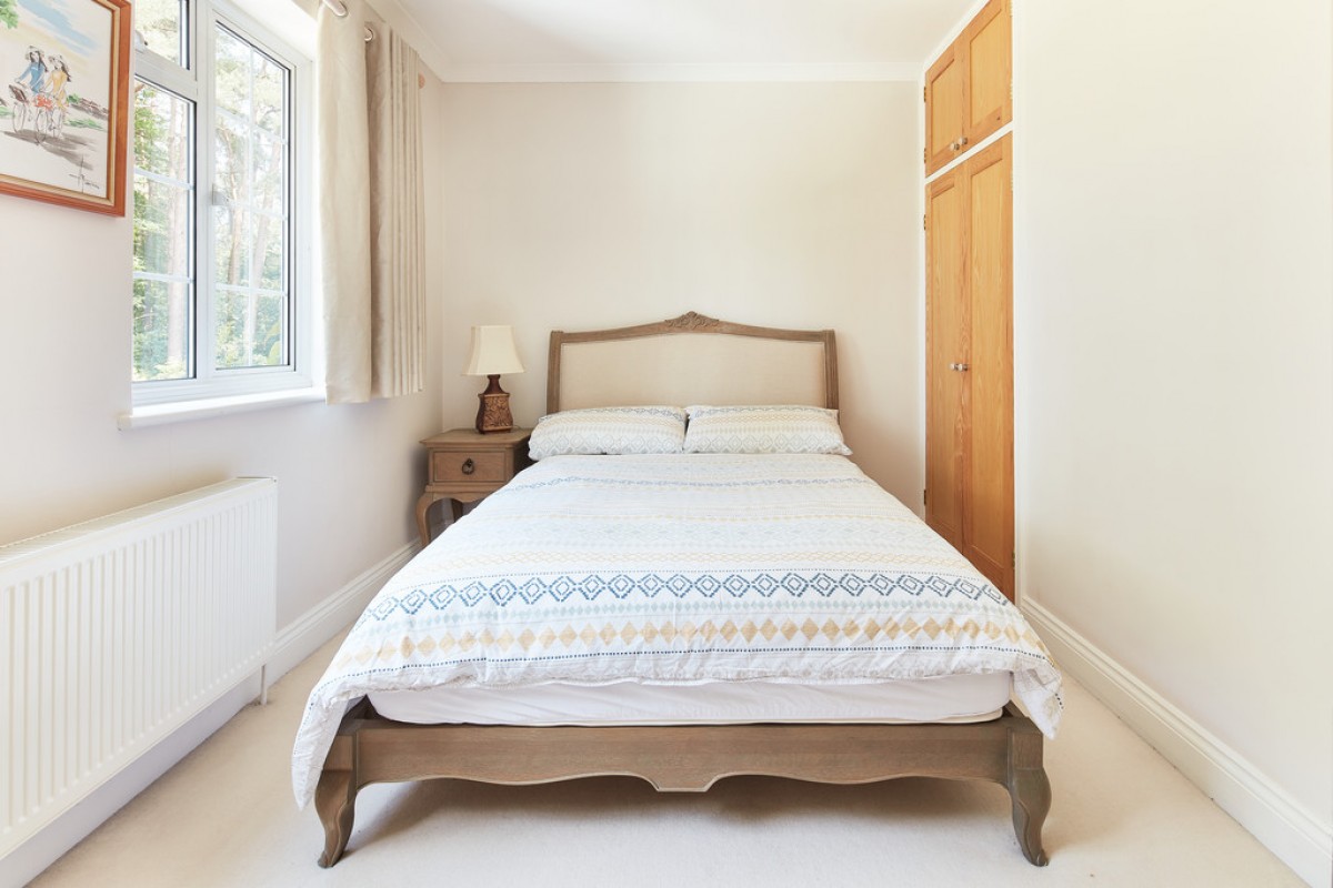 Dukes Covert, Bagshot, Surrey Heath