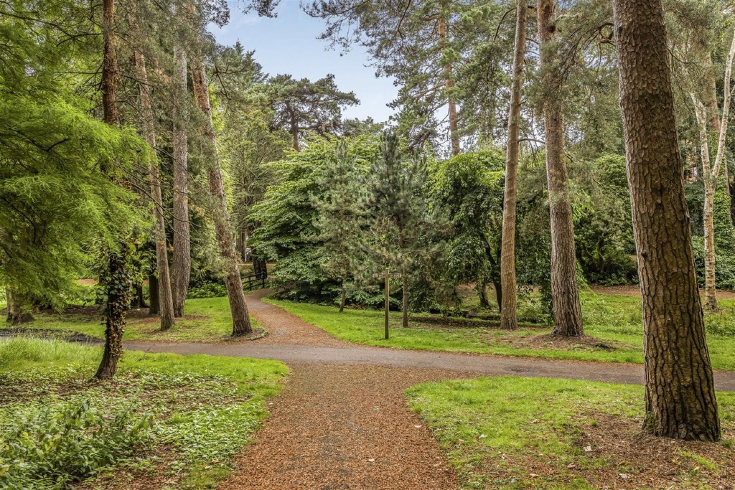 Branksome Wood Road, Bournemouth