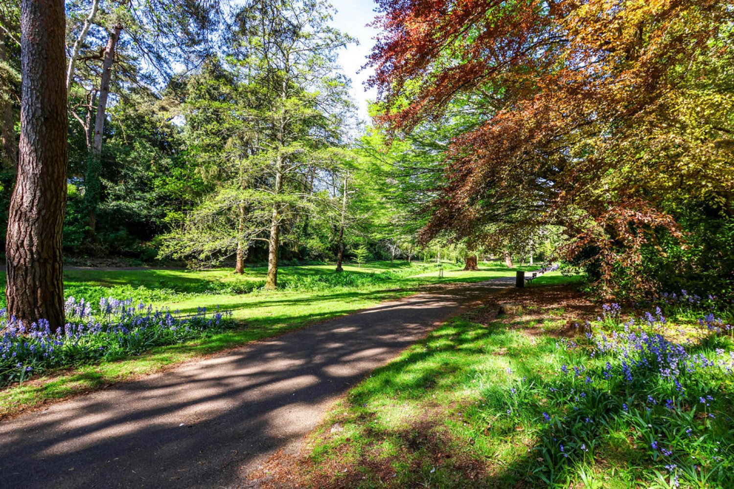 2 bedroom Flat for Sale Branksome Wood Road, Bournemouth
