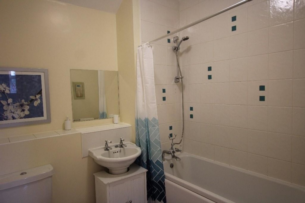 Apt 7 121 Wagon Lane