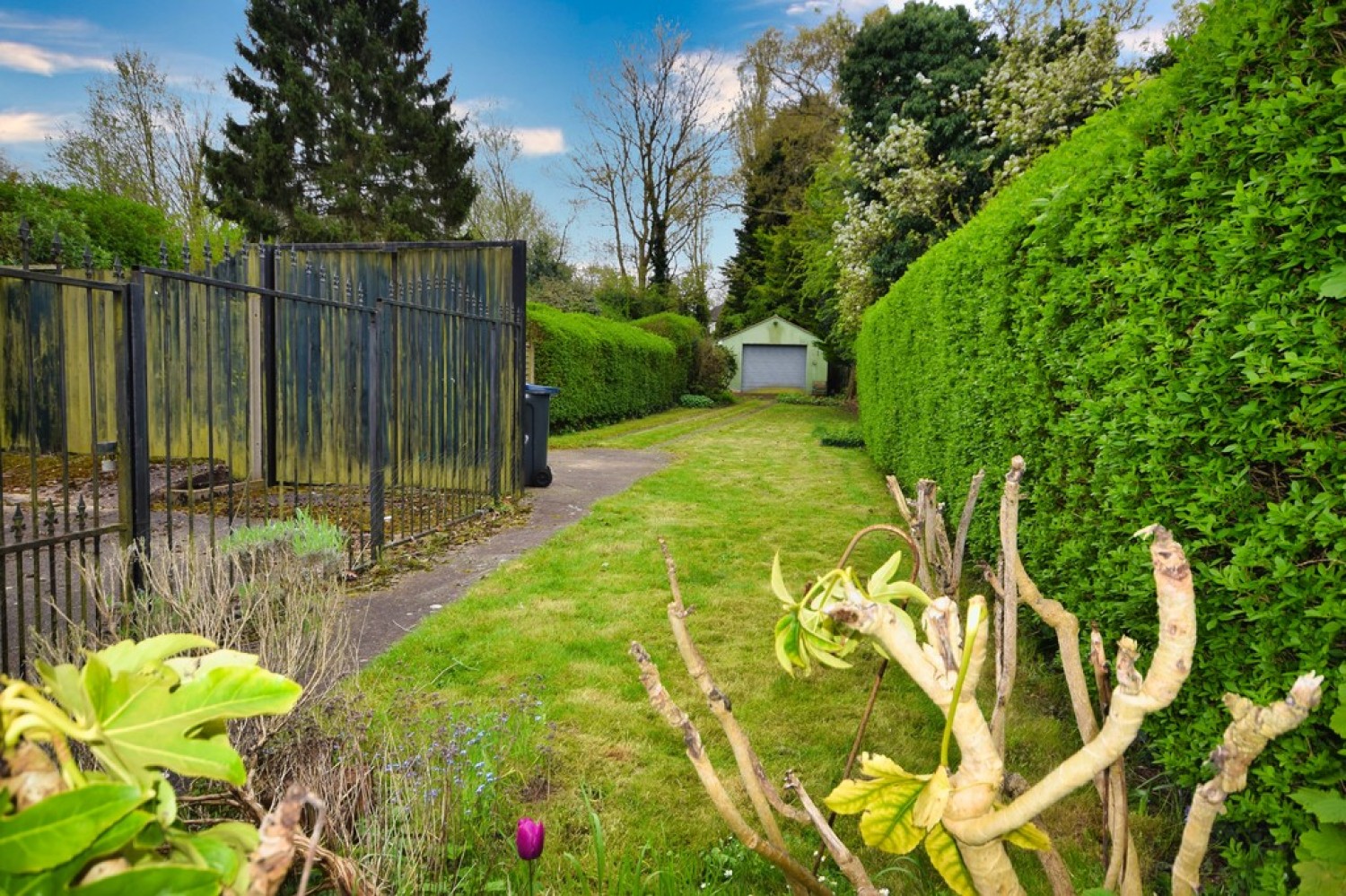 Robin Hood Lane, Hall Green